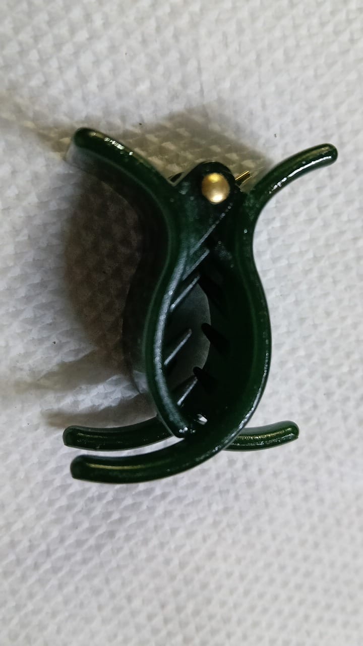 Women Hair Clips-Fibre Small