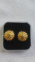 Lady Fancy Gold Ear Top Glossy Finish