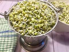 8" ORGANIC SPROUTED MOONG OTC PIZZA