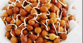 8" ORGANIC SPROUTED CHANA OTC PIZZA