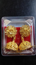 Lady Fancy Gold Ear Tops Multi Glossy Finish