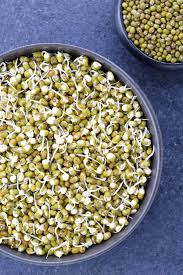 5" ORGANIC MOONG SPROUTS CHEESE PIZZA